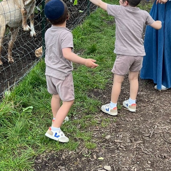 Analogie set. Size 5T - Picture 6 of 6